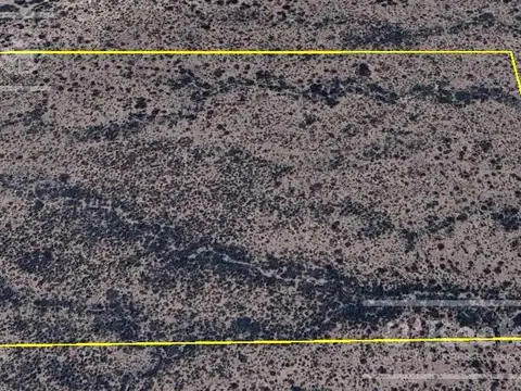 Campo en venta de 16 has en Mendoza