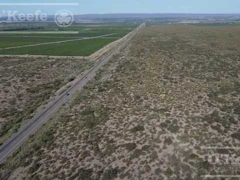 Campo en venta de 16 has en Mendoza