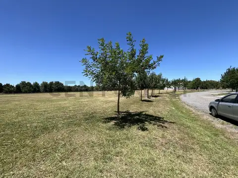 Terreno en Venta 15  mts Frente