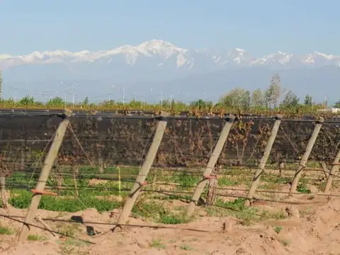 Finca sobre ruta pavimentada
