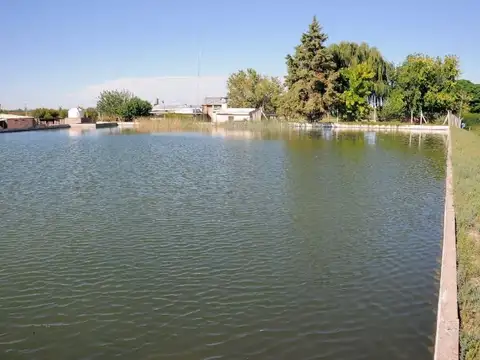 Campo en Venta de 42  ha