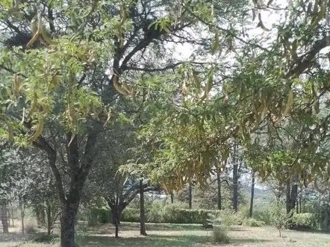 CASA - SANTA ROSA CALAMUCHITA