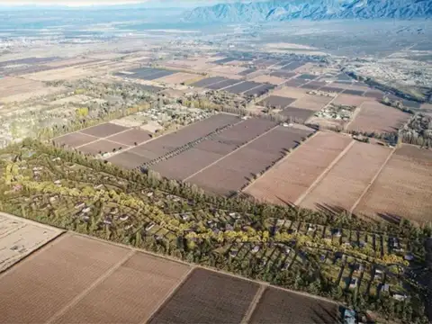 Roque Sáenz Peña 5600