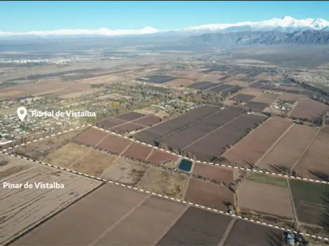 Terreno en Venta de 610,0 m2