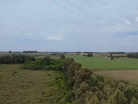 CHACRA EN VENTA - 12 HECTAREAS - LOS CERRILLOS