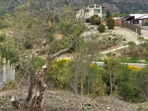 De las malvas y monte moro