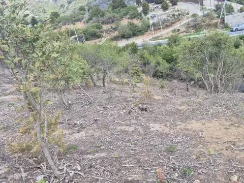 De las malvas y monte moro