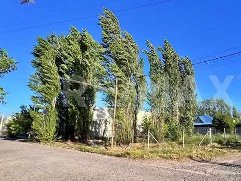 Terreno en Venta en Plottier, USD 38.000