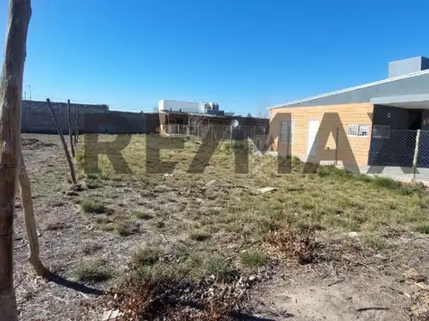 Enrique Povedano 600