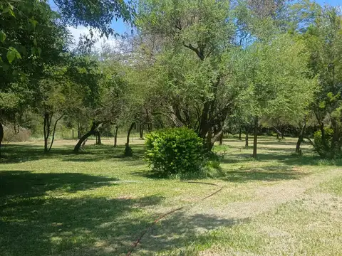 El Duo de Colonia Benítez 