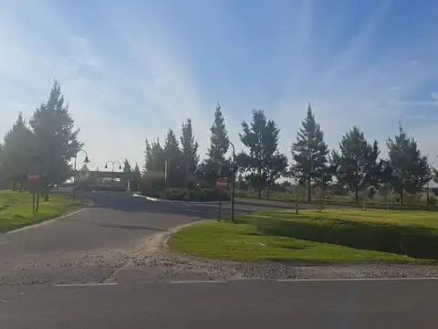 Terreno en Venta de 785,0 m2