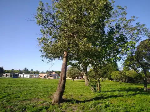 Terreno en Venta de 908,0 m2