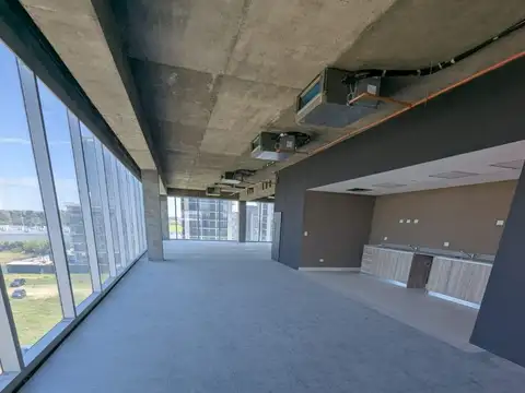 Don Francisco , Piso 4