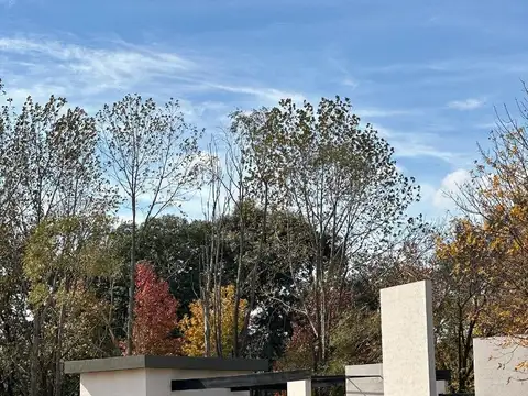 Adg. Oportunidad!lote En Oprtunidad En El Cardal 2