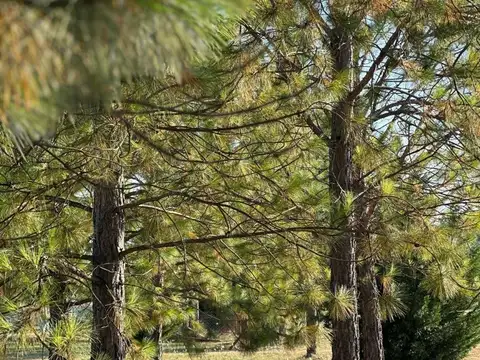 Terreno en Venta de 1000,0 m2