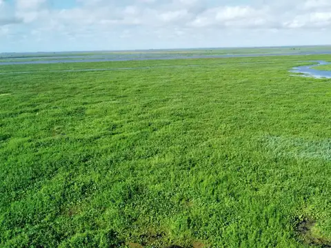 Campo en Venta de 2.845  ha