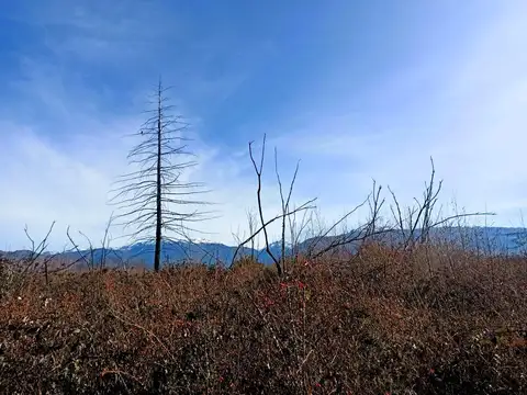 Terreno en Las Golondrinas