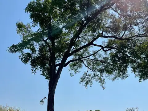 Gran terreno en Colonia Benítez cercano al Río Tragadero