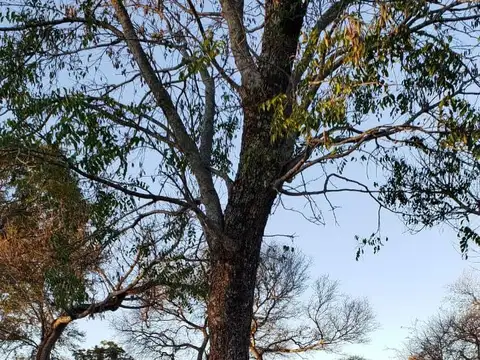 Terreno en Venta en Colonia Benitez, USD 20.000