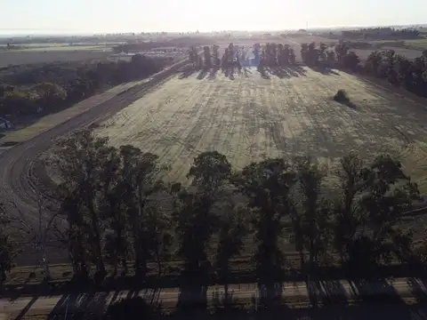 Terreno en Venta de 100000,0 m2