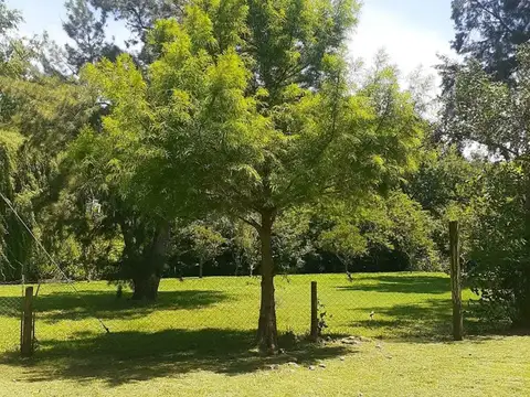 Casa  en Venta ubicado en San Fernando, G.B.A. Zona Norte, Argentina