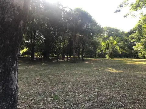 Terreno en Venta en Villa La Isla, USD 75.000