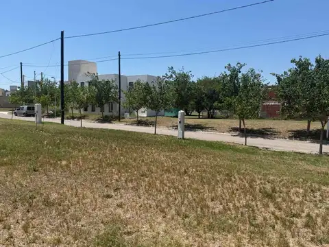 Terreno en Venta de 447,0 m2