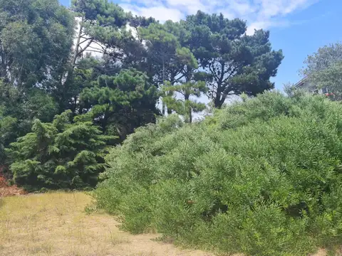 Lote en Las Toninas. A 200 Mts de la Playa.