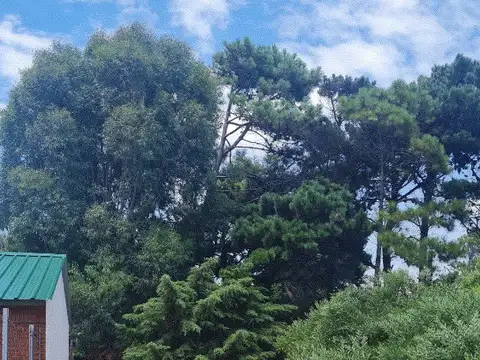 Terreno en Venta en Las Toninas, USD 34.000