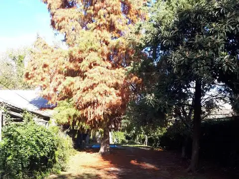 Casa en Venta de 1 dormitorio