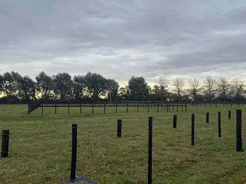 Terreno en venta en La Primavera Golf