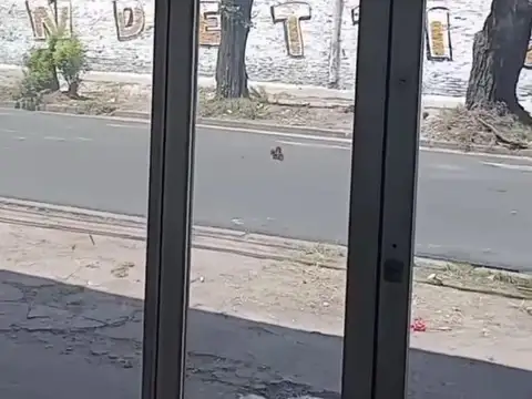 LOCAL EN ESQUINA BIEN UBICADO MTE. CHINGOLO