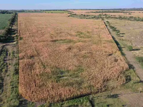 156 hectáreas con aptitud agrícola, 6Km de Nogoyá