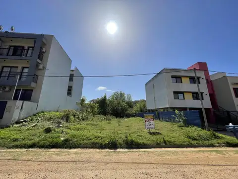 Lugones entre Reibel y Tucumán