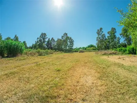 TERRENOS/FRACCIONES/LOTEOS - TERRENOS - CIUDAD DEL PLATA