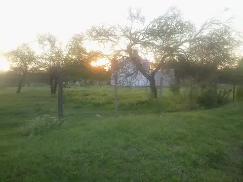 Gomez entre Belgrano y San Martin