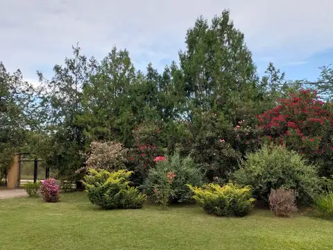 Independencia  al 300