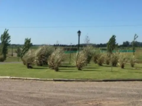 Terreno en Venta de 1000,0 m2