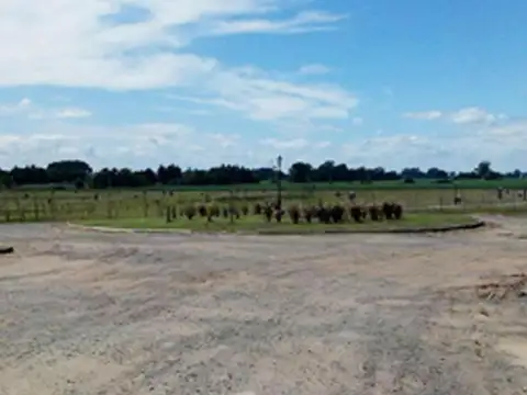 Terreno en venta - 1.000Mts2 - Junín