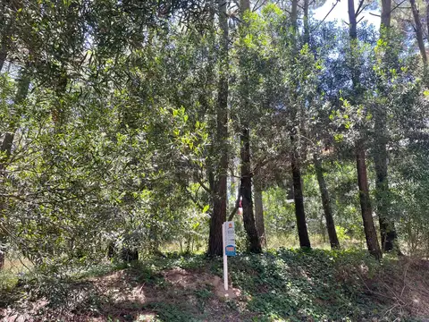 Terreno en Venta, FOT 0.6