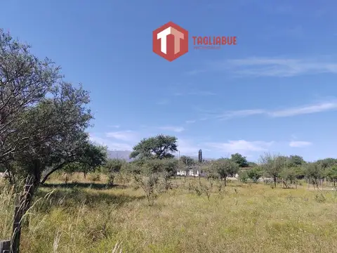 3 Lotes en Piedra Blanca