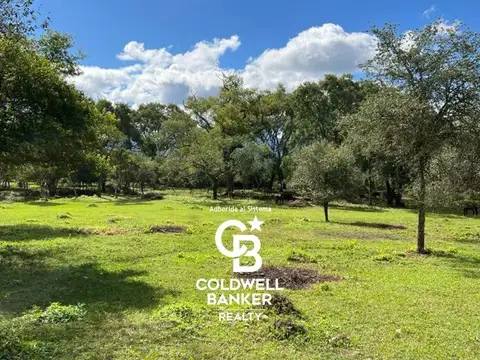 Julio Cortazar pasando Vertientes