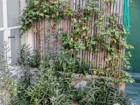 Oficina en Venta en Centro, USD 85.000