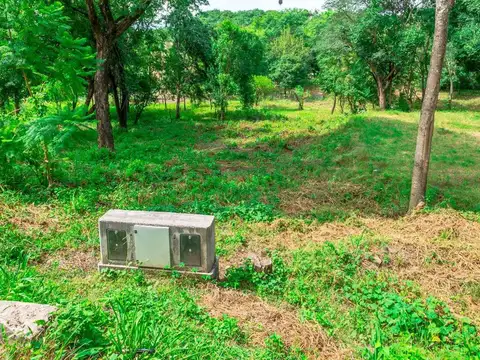 La Quebrada de los Nogales. Lote 100