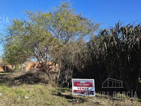 BERDUC ENTRE SAN LORENZO Y LOS NARANJOS
