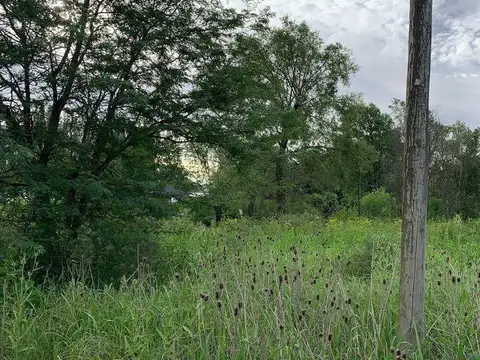 Los Olmos y Los Lirios