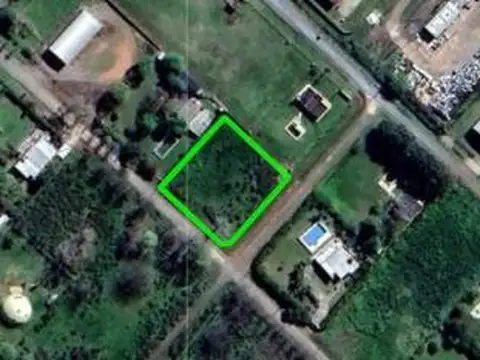 Los Olmos y Los Lirios