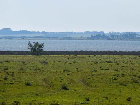 Quinta en Venta en Aigua, USD 1.000.000