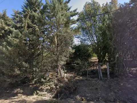 Camino José Marrero y Pergamino