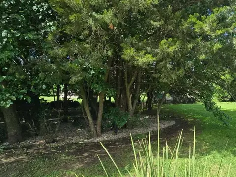 Casa en Venta 5 años